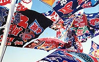 img_1188748_19346536_8.jpg